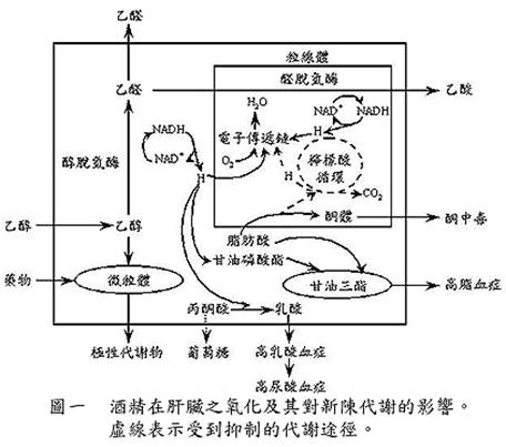 描述: 描述: 描述: 描述: 描述: http://biometrics.sinica.edu.tw/nsc/article/v15_04/images/v15_4_11.jpg
